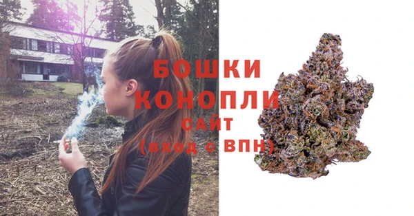 бошки Верея
