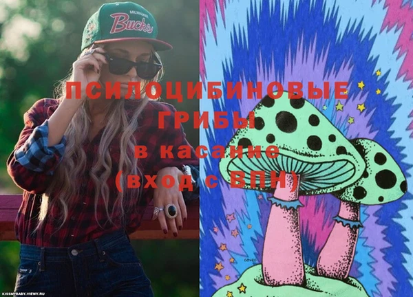 бошки Верея